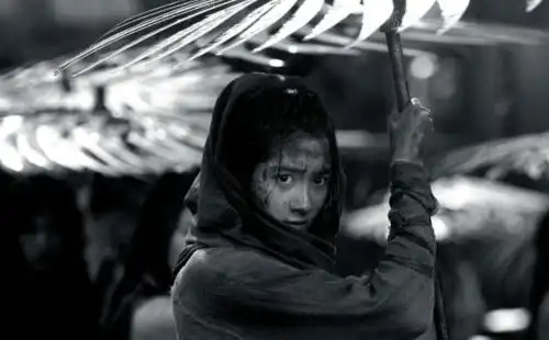 周冬雨金鸡奖实现大满贯,张艺谋说她将成为周冬雨接班人