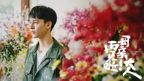 再见啦母亲大人一场生活剧的实验