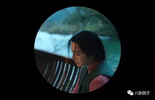 你所不了解的双面冯小刚
