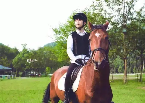 易烊千玺骑马照
