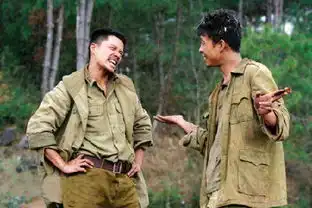 第一次看团长觉得龙文章是疯子,以后再看,我更确定了判断
