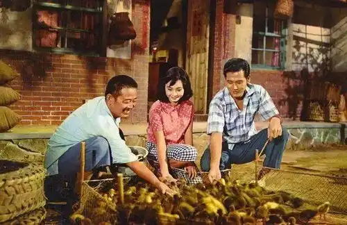 电影导演李行病逝终年91岁
