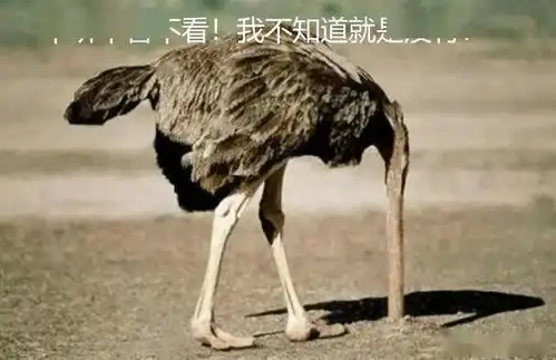 运气好连官方都压不住,欧皇挂机捡到神品冲破游戏限制
