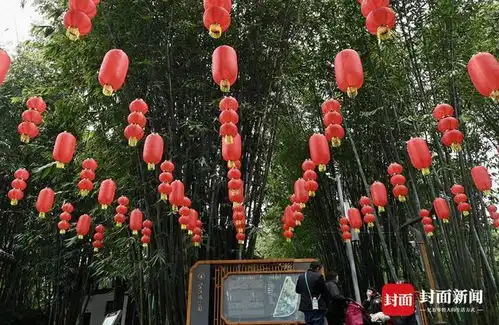 新春佳节临近成都大红灯笼高高挂图集