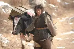 黄渤,你太过分了
