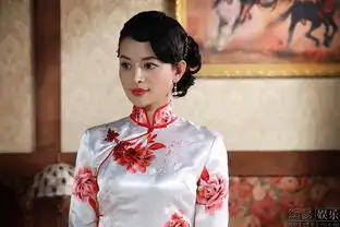 徐天琪红色追剿1949时尚旗袍剧照曝光