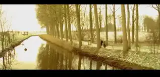 戴珍珠耳环的少女截图