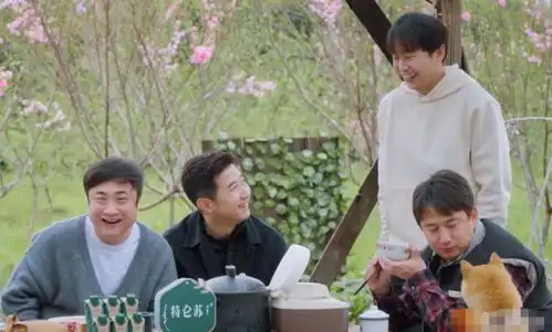 向往的生活第五季在国外播出,张艺兴成最大讨论热潮