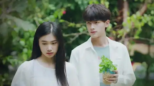 陈鹤一明星资料大全陈鹤一动态陈鹤一电视剧电影爱奇艺泡泡