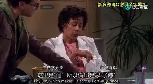 生活大爆炸视频翻译