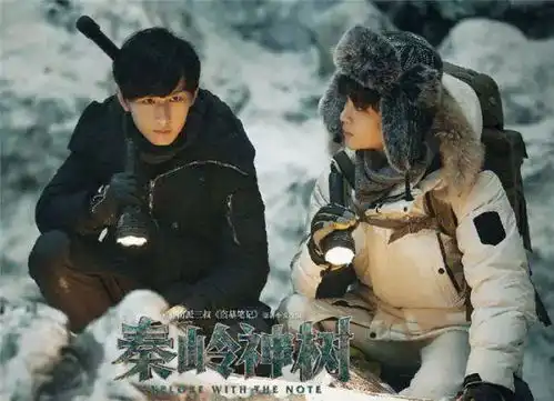 网上火爆,你却一集没看的4部网剧,若你都追了,大佬无疑剧中