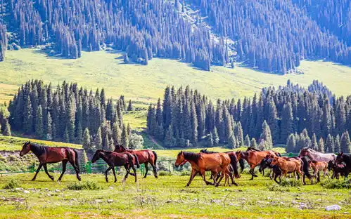不到5000元即可开启独库公路飞驰人生第2页单车旅行骑行路线骑行游记骑行攻略美骑网biketo.com