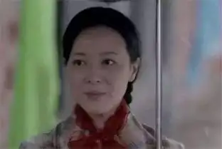 平凡的世界哪怕生活猝不及防,惠英嫂也只能一如既往