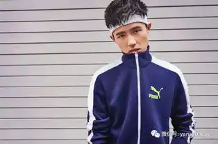 少年感到底是个什么东西是窗边的柏原崇仙剑的胡歌骑车的刘昊然
