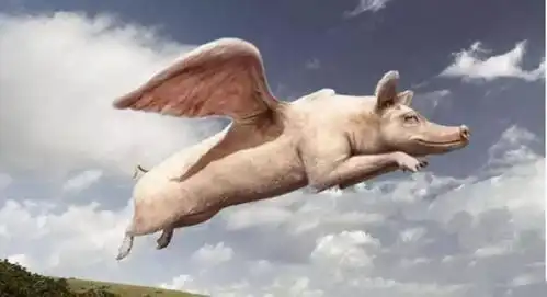 站在风口上,猪都能飞起来