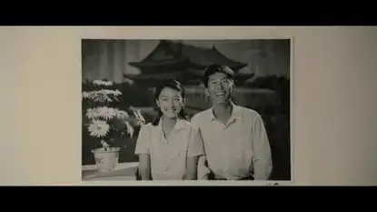 爱情在任何年代都可能美好山楂树之恋

