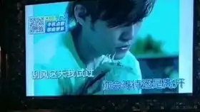 头文字d拓海x夏树一路向北
