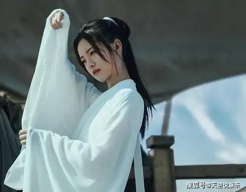 雪中悍刀行李淳罡想教姜泥学剑,姜泥为何不学
