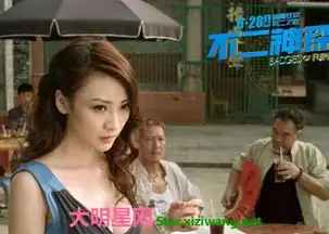 不二神探剧情介绍和剧照