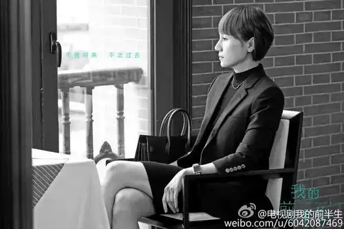 我的前半生靳东陈道明马伊琍袁泉出演的都市言情剧
