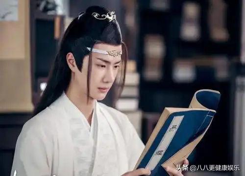 陈情令番外二百二十枝上柳绵吹又少,天涯何处无芳草