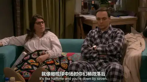 生活大爆炸谢耳朵夫妇理论被证否,顿时变颓废