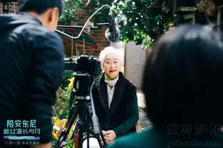 陪安东尼发终极预告海报刘畅深陷情感抉择8108998