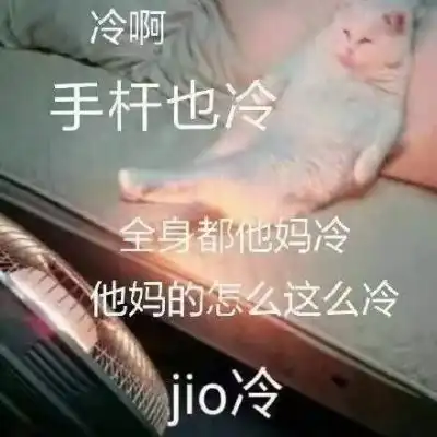 表情包你要祝我生日快乐吗
