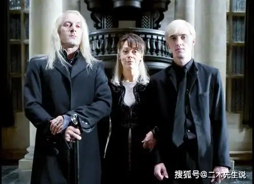 哈利波特电影系列中的马尔福夫人在斯内普教授去世之后也撒手人寰
