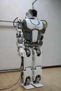 钢铁侠ceo张锐如何打造中国版的波士顿动力
