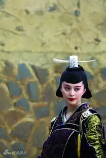 范冰冰剧照葛优