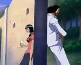 跪求海贼王里罗宾的图片