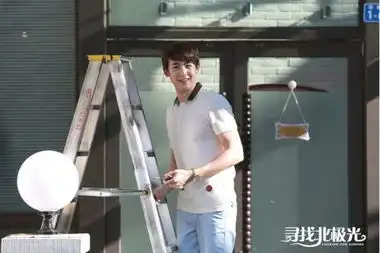 寻找北极光剧照

