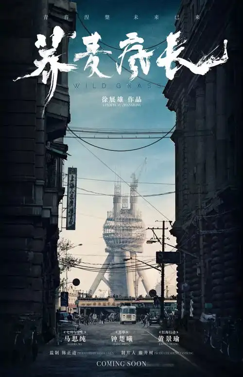 2019超强前胆,明年最好看的华语电影都在这里了