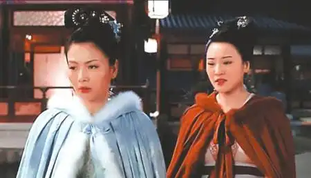 成都姐妹花不宫斗在大宋后宫共养一子
