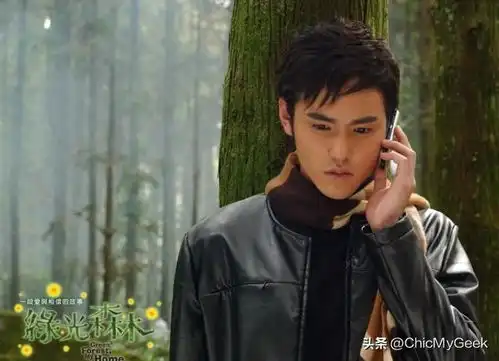 让阮经天懊悔10年的事,金马50早退至今难被原谅
