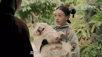 延禧攻略高贵妃的那只狗,慈禧有1000多只