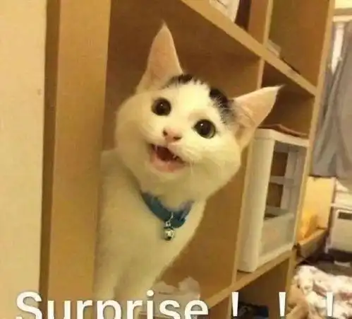 刘德华易烊千玺合作奇迹主题曲netflix新剧僵尸校园预告