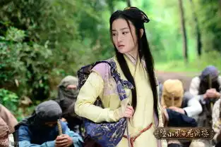 陆小凤与花满楼阿信剧照