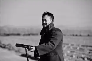 贾樟柯我们应该成为宿命的反叛者