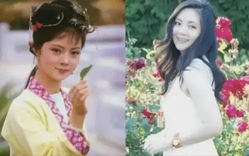 薛宝钗张莉身价过亿无儿无女,58岁未婚终成红楼梦中人
