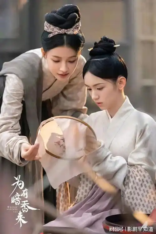 为有暗香来已过审,于正力捧新人演员,知名演员来做配
