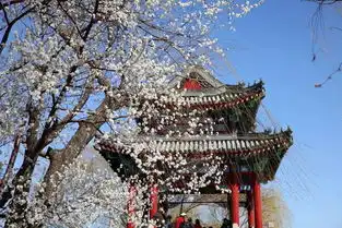 北京变身花海169处公园风景区成赏花圣地附完整名单