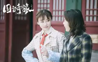 国宝奇旅剧照
