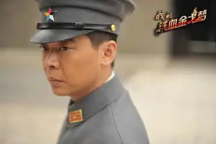 我的铁血金戈梦林继东变脸惊现捡洋落情节
