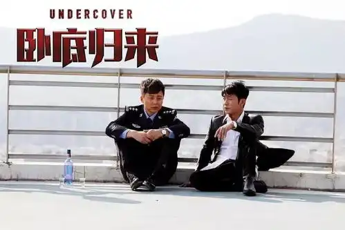 看完卧底归来,想去当警察了不要拦我
