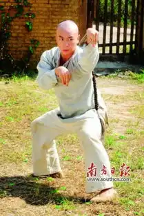 释小龙饰演广东武林传奇大师
