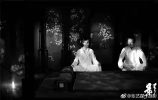 极致的影回归的张艺谋
