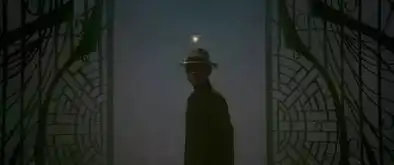 对称式构图,给你50个例子够不够