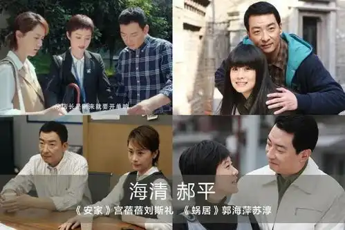 安家客串明星阵容海清郭涛加盟,还有很多印象深刻的老戏骨

